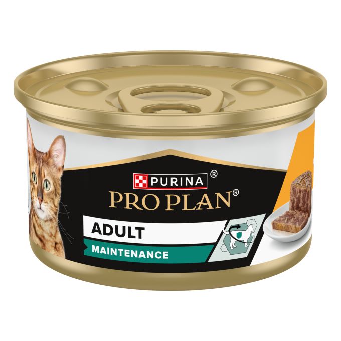 PURINA® PRO PLAN®  Gato Lata Adulto MAINTENANCE Terrina rico en pollo