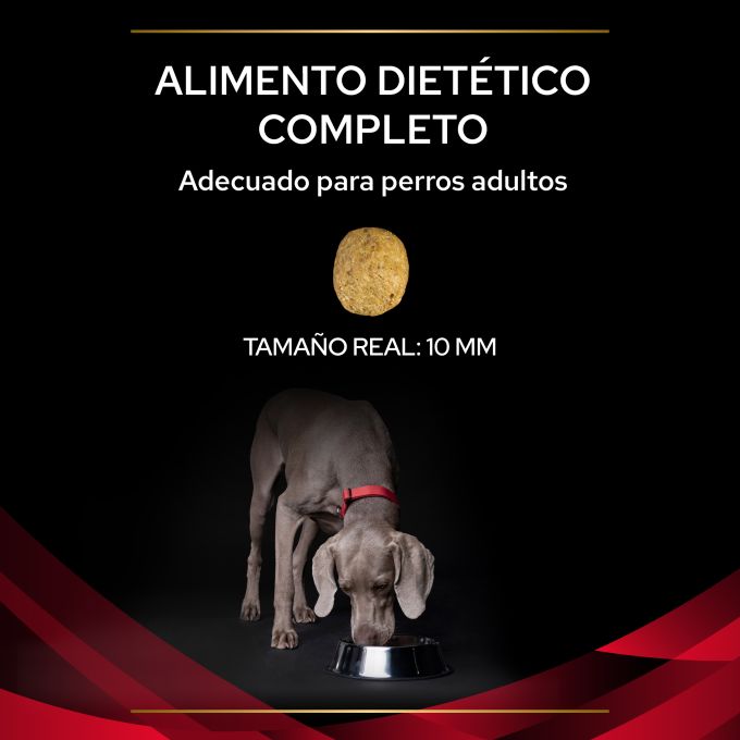 PURINA® PRO PLAN® VETERINARY DIETS  CANINE DM Diabetes Management