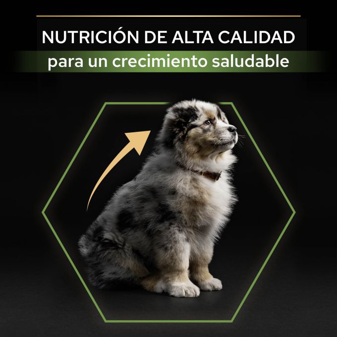 PURINA® PRO PLAN®  PRO PLAN MEDIUM PUPPY Pollo