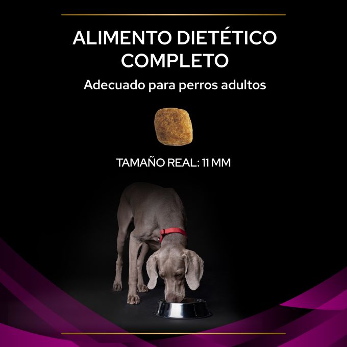 PURINA® PRO PLAN® VETERINARY DIETS  CANINE UR Urinary