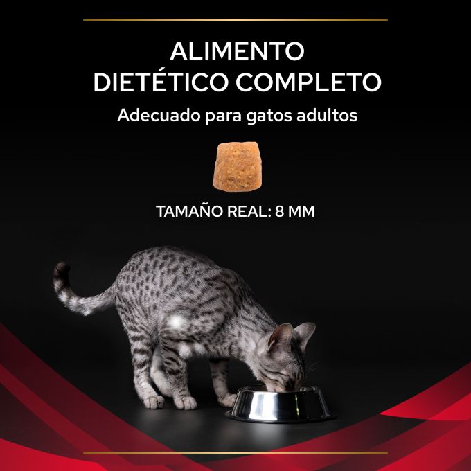 PURINA® PRO PLAN® VETERINARY DIETS  FELINE DM Diabetes Management