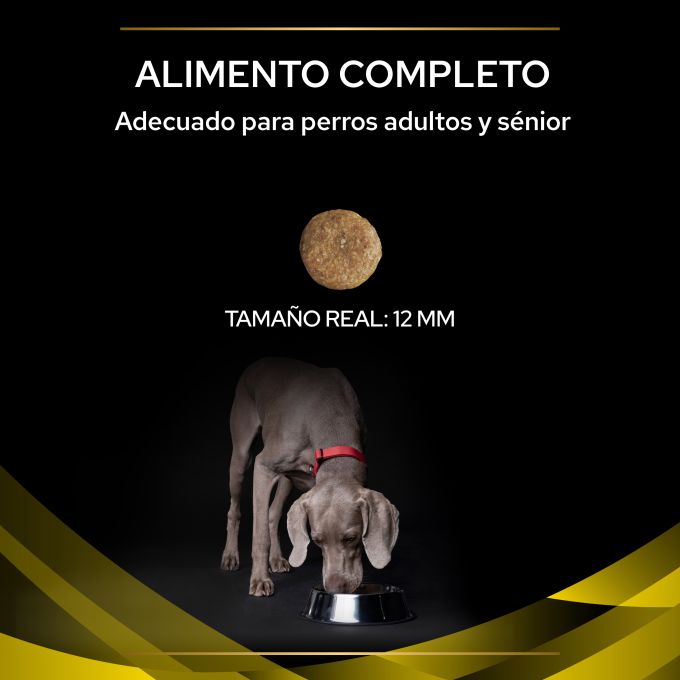 PURINA® PRO PLAN® VETERINARY DIETS  CANINE NC Neurocare