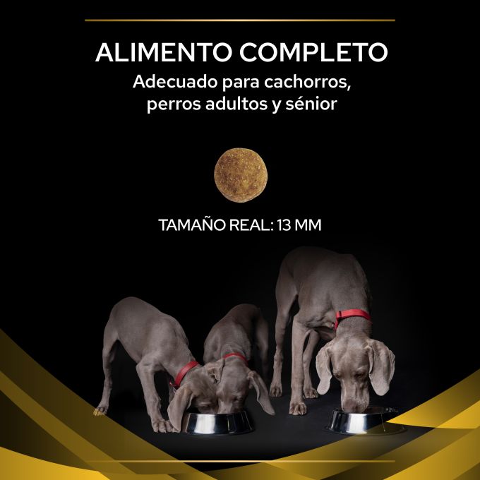 PURINA® PRO PLAN® VETERINARY DIETS  CANINE JM Joint Mobility