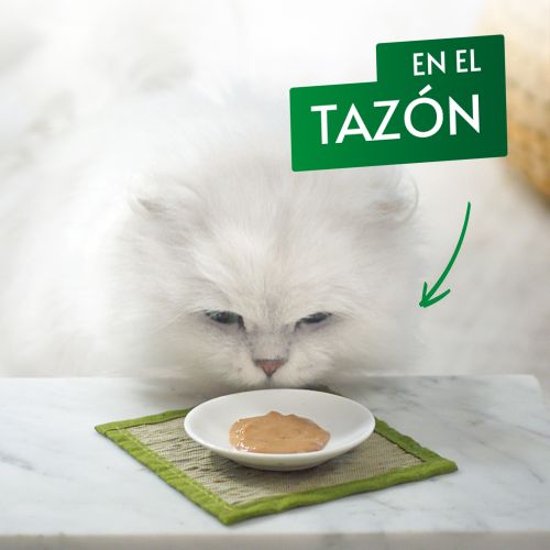 PURINA® GOURMET® Nature's Creations  Puré Snack con Buey y Tomate