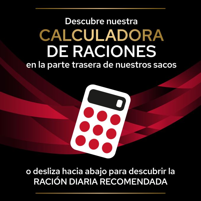 PURINA® PRO PLAN® VETERINARY DIETS  CANINE CC Cardio Care