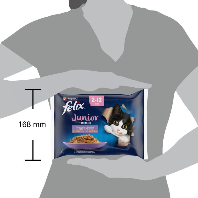 PURINA® FELIX® Fantastic  JUNIOR