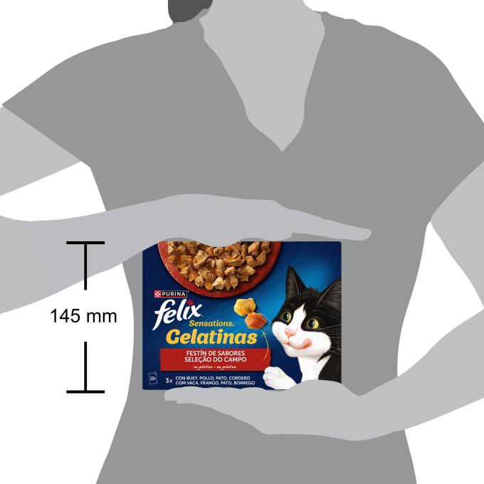 PURINA® FELIX® Sensations Festin de Sabores en Gelatina