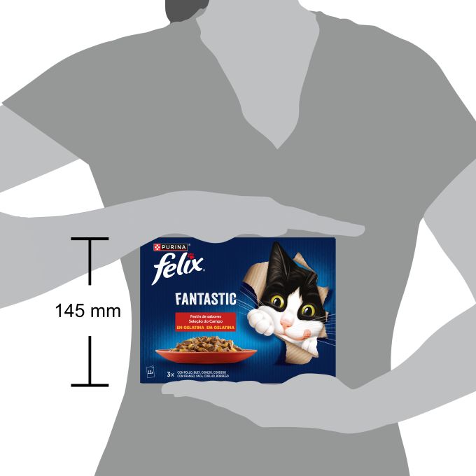 PURINA® FELIX® Fantastic Festin de Sabores en Gelatina