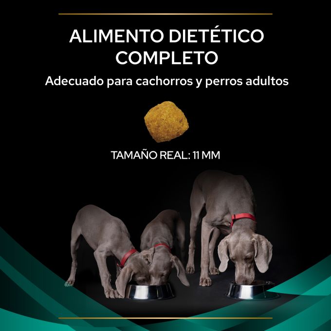 PURINA® PRO PLAN® VETERINARY DIETS  CANINE EN Gastrointestinal
