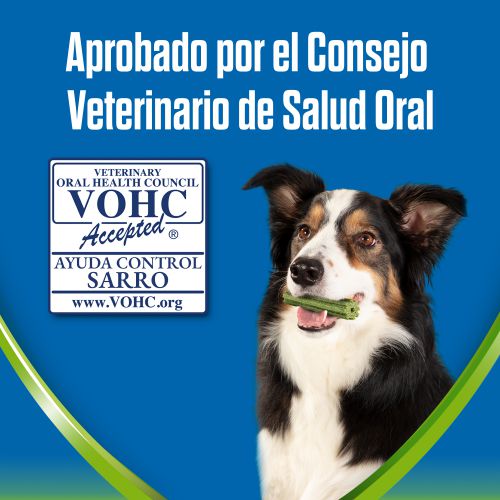 PURINA®  DENTALIFE®  ACTIVFRESH Large
