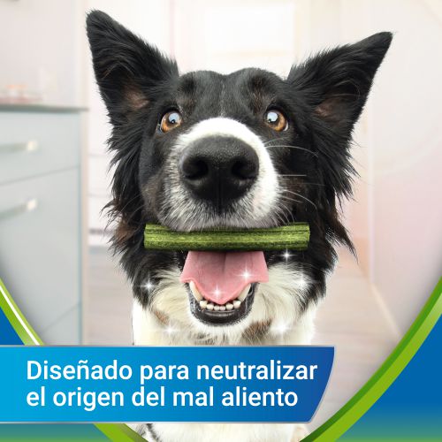 PURINA®  DENTALIFE®  ACTIVFRESH Large