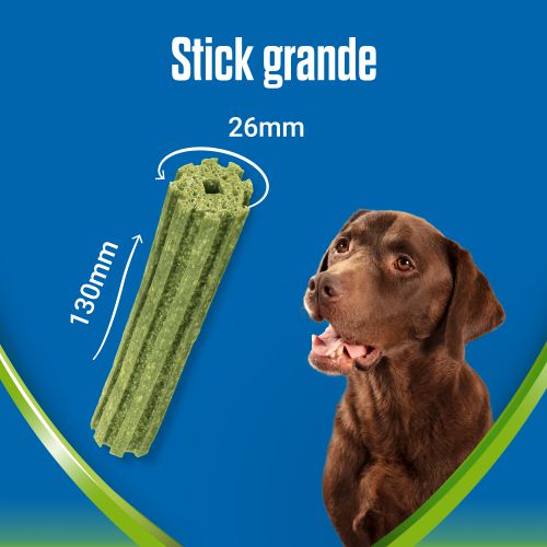 PURINA®  DENTALIFE®  ACTIVFRESH Large