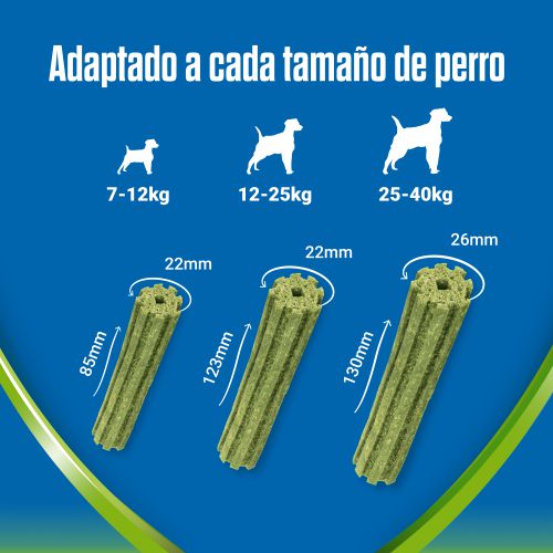 PURINA®  DENTALIFE®  ACTIVFRESH Large
