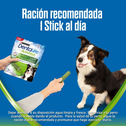 PURINA®  DENTALIFE®  ACTIVFRESH Medium