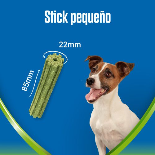 PURINA® DENTALIFE® ACTIVFRESH Small