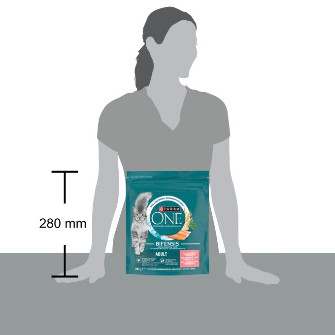 PURINA® ONE® BIFENSIS Bifensis Adulto Gato seco Rico en Salmón