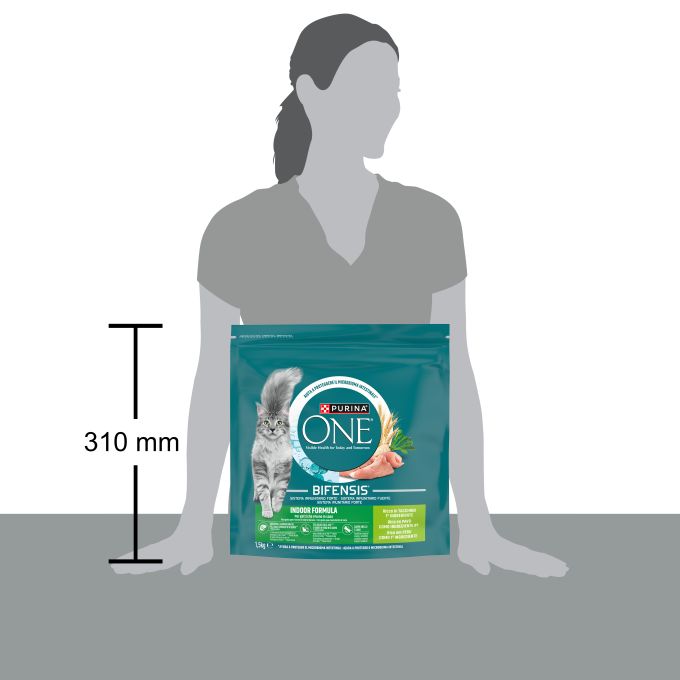 PURINA® ONE® BIFENSIS Bifensis INDOOR