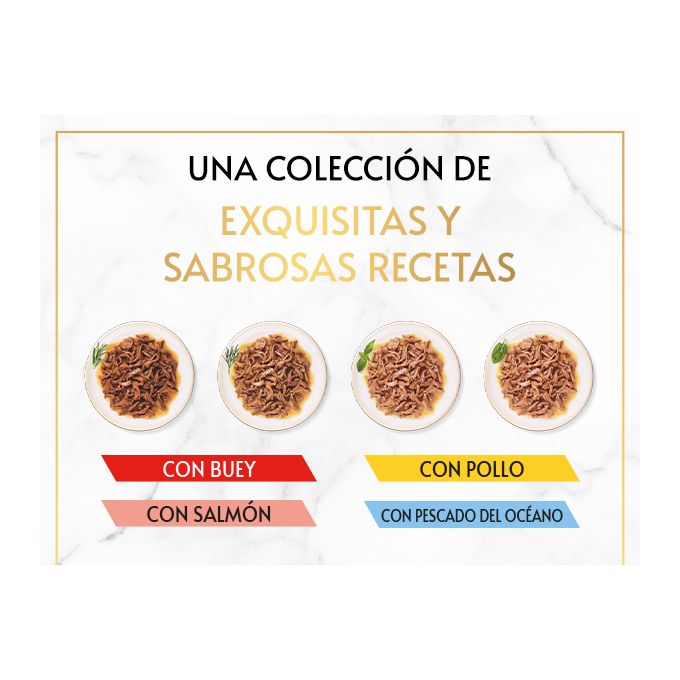 PURINA® GOURMET® Gold  Delicias Suculentas Pack Surtido