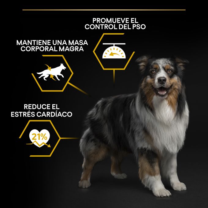 PURINA® PRO PLAN®  All Sizes Adult LIGHT / STERILISED Pescado Blanco