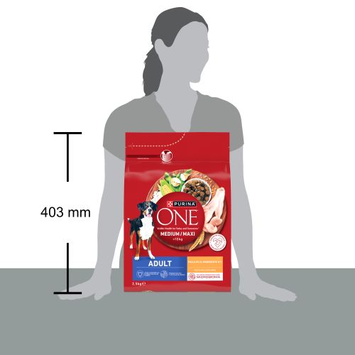 PURINA ONE® MEDIUM/MAXI >10kg Adulto Pollo y Arroz  2,5kg