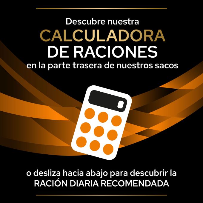 PURINA® PRO PLAN® VETERINARY DIETS  CANINE OM Obesity Management Lata