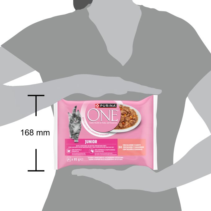 PURINA® ONE®   JUNIOR Mini Filetes en Salsa con Salmón y Zanahorias, sobre 85g