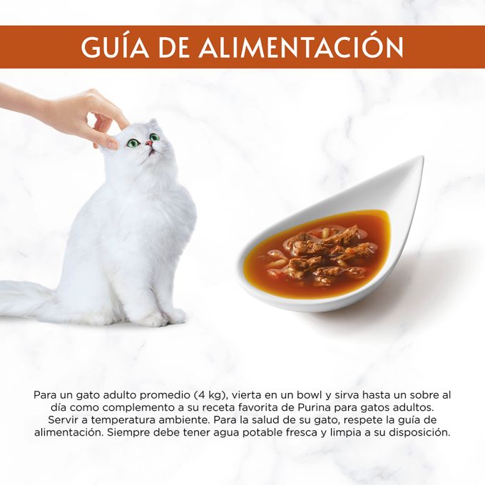 PURINA® GOURMET® SOUP ROYALE con Salmón