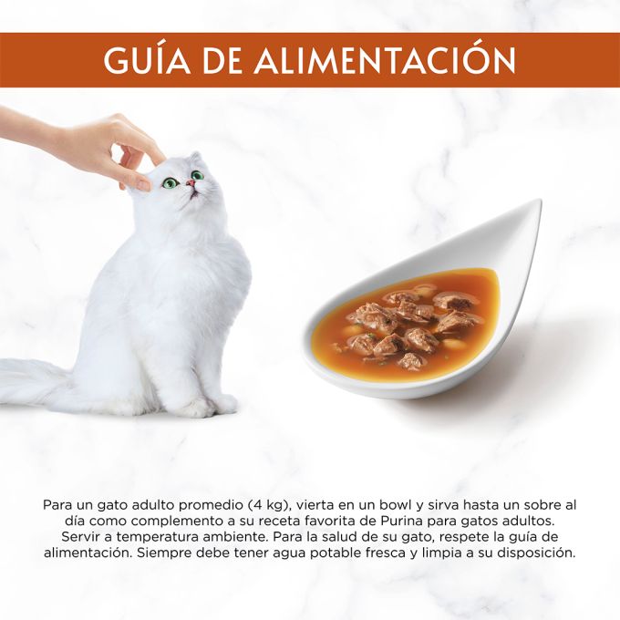PURINA® GOURMET® SOUP ROYALE con Pollo