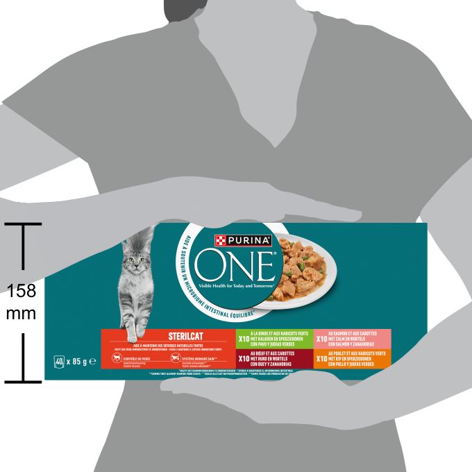 PURINA® ONE®  PURINA® ONE® STERILCAT mini filetes en salsa con Salmón y Zanahorias (40x85g)