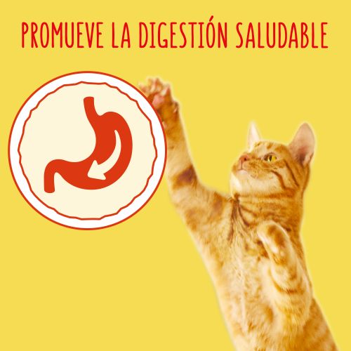 PURINA®  FRISKIES®  Adulto Gato con Bacalao y Verduras