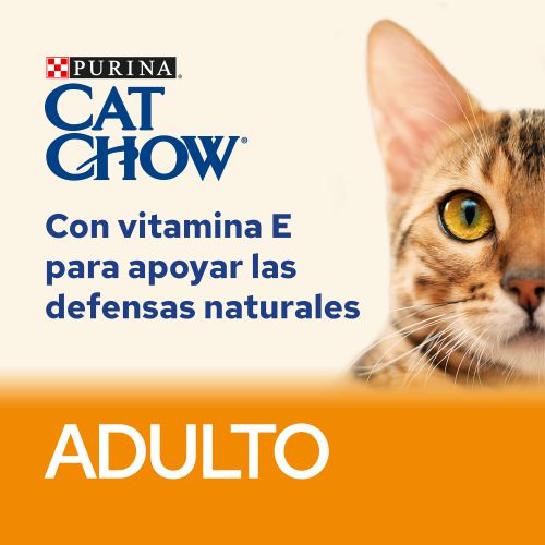 Cat Chow Adulto Pollo