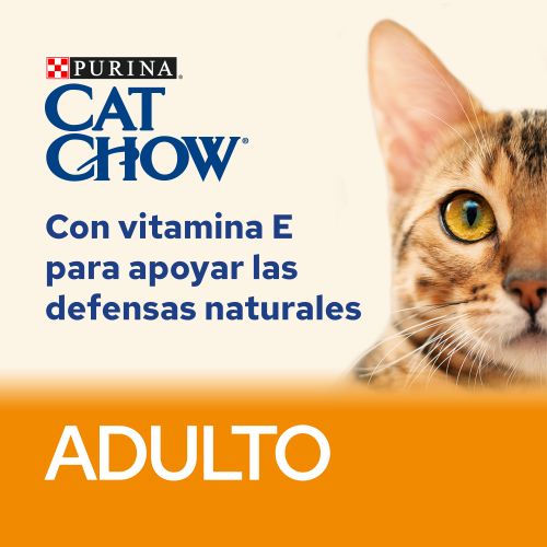 Cat Chow Adulto Salmón