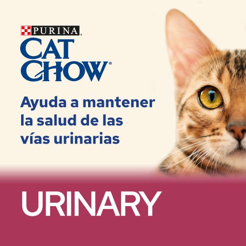 Cat Chow Urinary Pollo