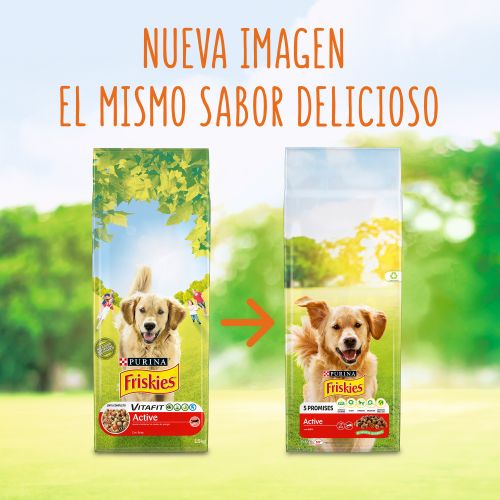 Purina® Friskies® Active comida seca con Buey y Verduras bolsa