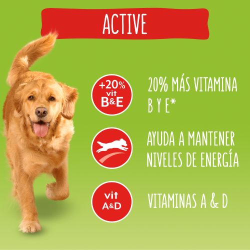 Purina® Friskies® Active comida seca con Buey y Verduras bolsa