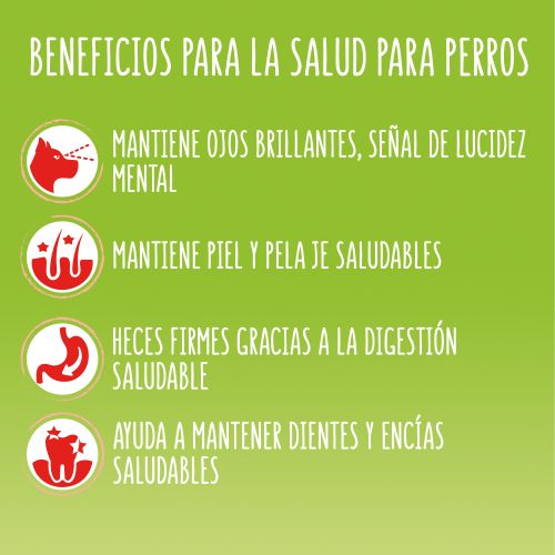 Purina® Friskies® Active comida seca con Buey y Verduras bolsa