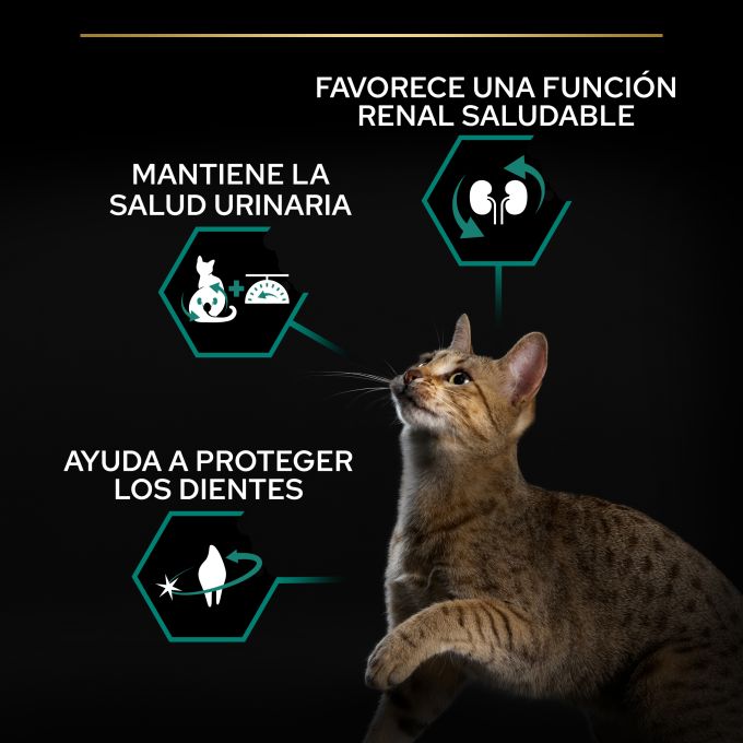 PURINA® PRO PLAN®  Gato STERILISED Adult 1+ RENAL PLUS Pavo
