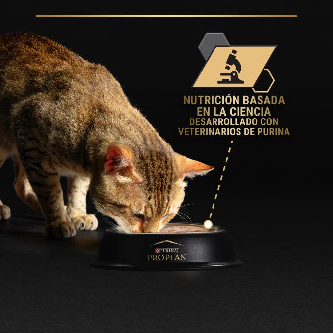 PURINA® PRO PLAN®  Gato Senior 7+ LONGEVIS Mousse con atún