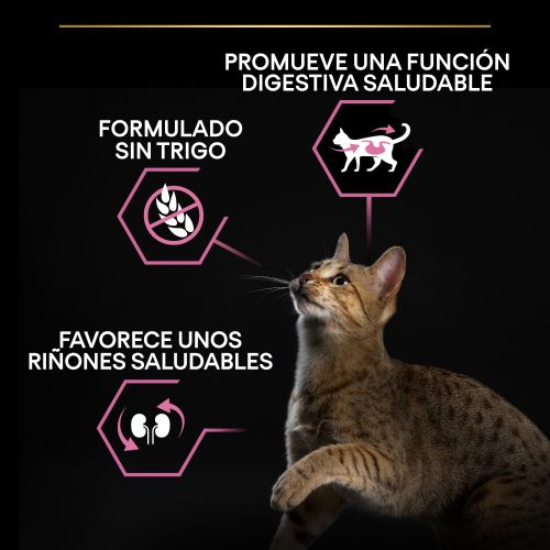 PURINA® PRO PLAN® Gato Adult 1+ DELICATE DIGESTION Pavo