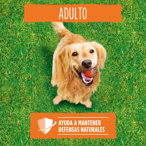 PURINA®  FRISKIES®  Adulto Aves y Verduras