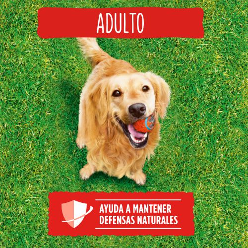 PURINA®  FRISKIES®  Adulto con buey, cereales y verduras