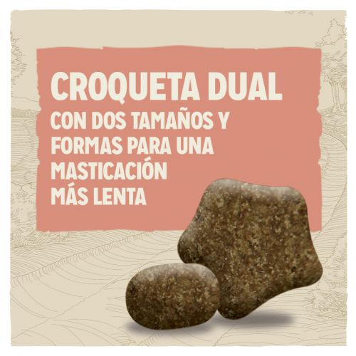 Dog Chow Sensitive Salmón