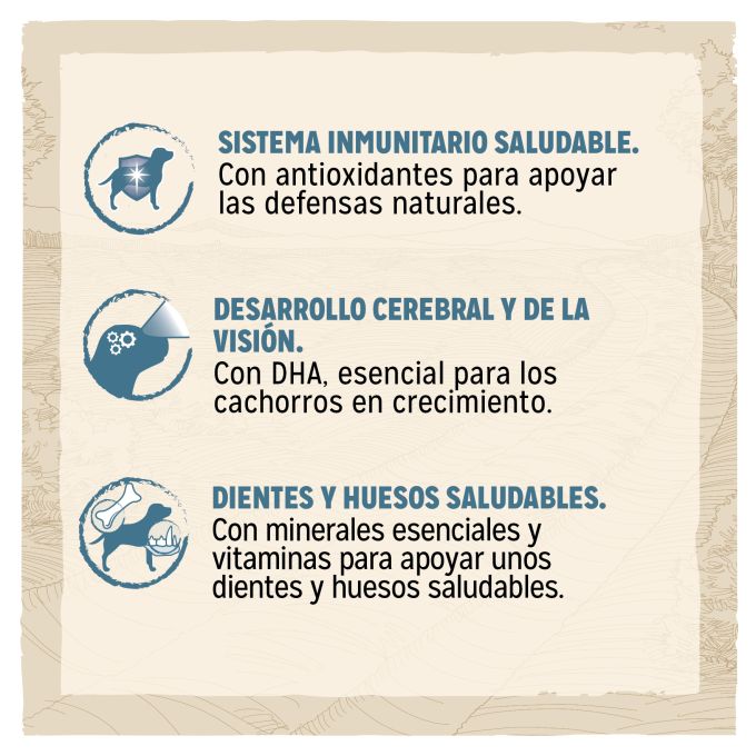 PURINA® DOG CHOW®  Dog Chow Cachorro Pollo 14kg