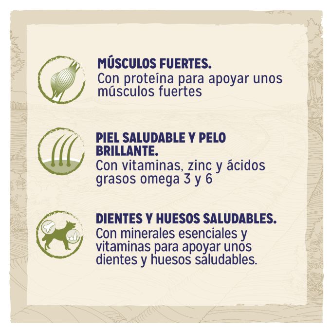 PURINA® DOG CHOW®  Dog Chow Adulto Cordero 14 kg