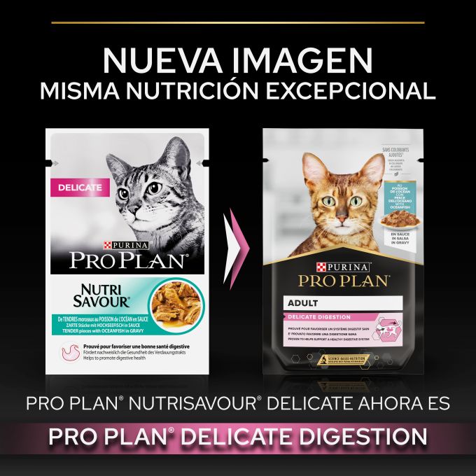 PURINA® PRO PLAN® Gato Adulto Delicate Digestion con Pescado del Océnao en salsa