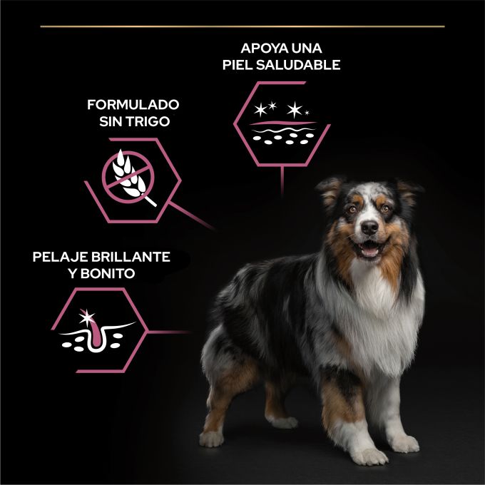 PURINA® PRO PLAN®  Medium Adult SENSITIVE SKIN Salmón