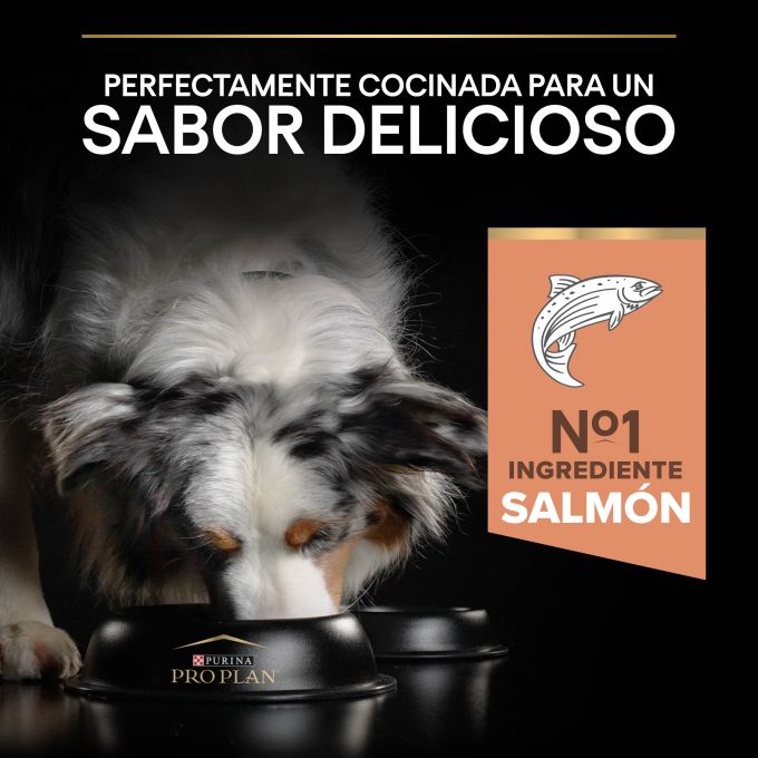 PURINA® PRO PLAN®  Medium Adult SENSITIVE SKIN Salmón