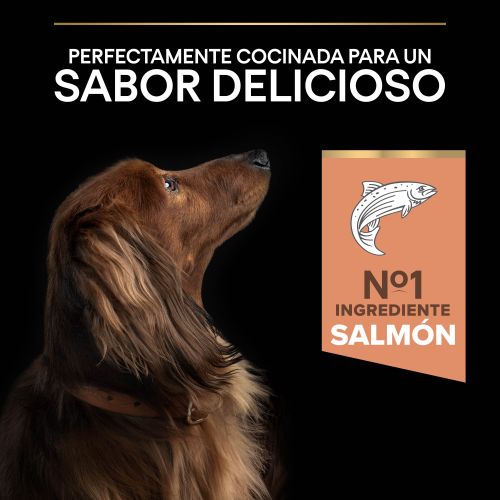 PURINA® PRO PLAN®Small & Mini Adult SENSITIVE SKIN Salmón