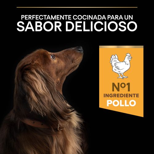 PURINA® PRO PLAN®Small & Mini Adult EVERYDAY NUTRITION Pollo