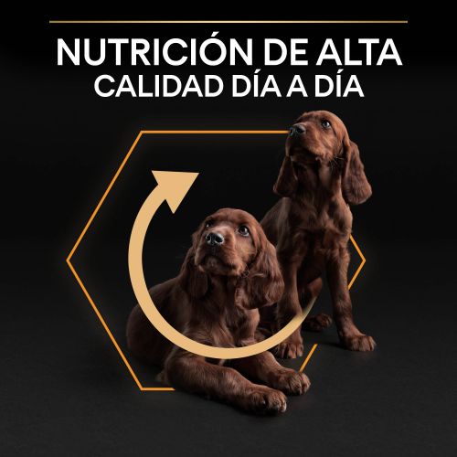 PURINA® PRO PLAN®Small & Mini Adult EVERYDAY NUTRITION Pollo